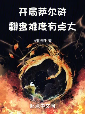 《开局萨尔浒，翻盘难度有点大》小说封面