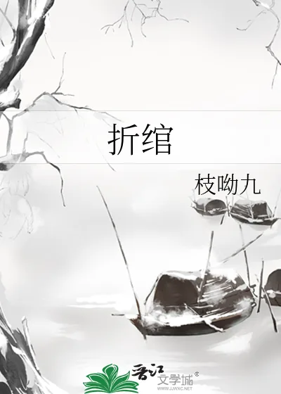 《折绾》小说封面