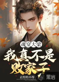 《魂穿大梁，我真不是败家子！》小说封面