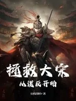 《拯救大宋，从谋反开始》小说封面