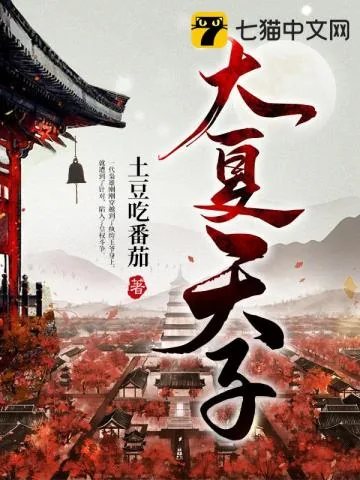 《大夏天子》小说封面