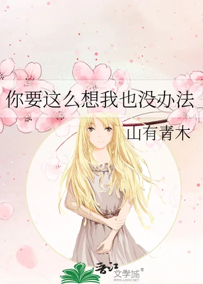 《你要这么想我也没办法》小说封面