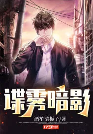 《谍雾暗影》小说封面