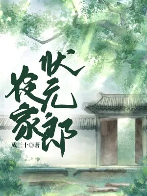 《农家状元郎》小说封面