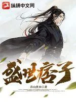 《盛世痞子》小说封面