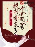 《出大事了！提刑司来了个女煞星！》小说封面