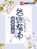 《娇柔世子的逃跑指南》小说封面