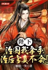 《陛下，治国我拿手，治后宫真不会》小说封面
