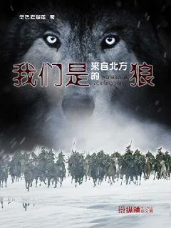 《我们是来自北方的狼》小说封面