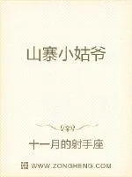 《山寨小姑爷》小说封面