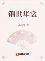《锦世华裳》小说封面
