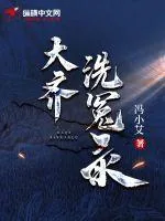 《大齐洗冤录》小说封面