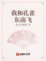 《我和孔雀东南飞》小说封面