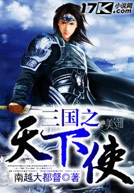 《三国之天下使》小说封面