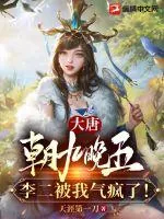 《大唐：朝九晚五，李二被我气疯了！》小说封面