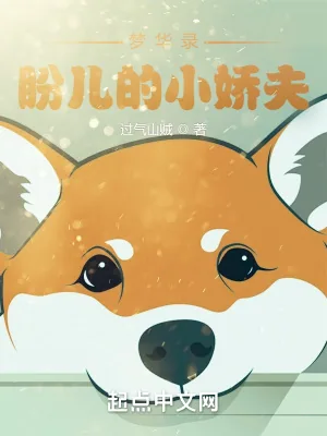 《赵盼儿的小娇夫》小说封面