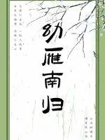 《幼雁南归》小说封面