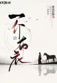 《一介布衣》小说封面