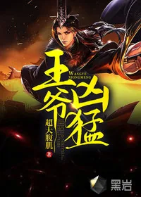 《王爷凶猛》小说封面