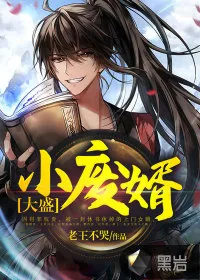 《大盛小废婿》小说封面