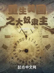 《重生美国之大奴隶主》小说封面