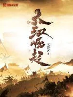 《大汉崛起》小说封面