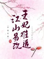 《江山易改王妃难追》小说封面