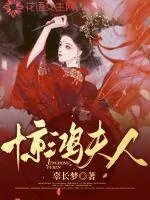 《惊鸿夫人》小说封面