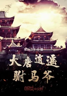 《大唐逍遥驸马爷》小说封面