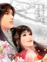 《风云之旅》小说封面