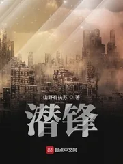 《潜锋》小说封面