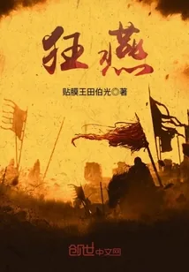 《狂燕》小说封面