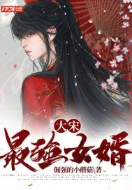 《大宋最强女婿》小说封面