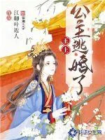 《王上,公主逃婚了》小说封面