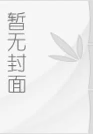 《北境藩王》小说封面