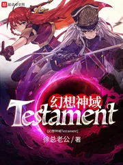 《幻想神域Testament》小说封面