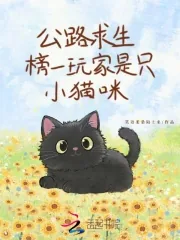 《公路求生,榜一玩家是只小猫咪》小说封面