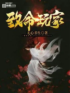 《致命玩家》小说封面