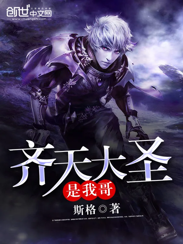 《齐天大圣是我哥》小说封面