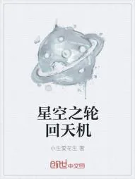 《星空之轮回天机》小说封面