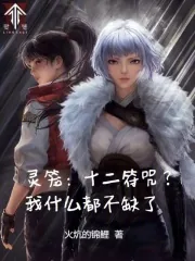 《灵笼：十二符咒？我什么都不缺了》小说封面