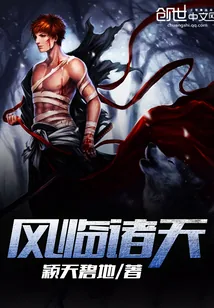 《风临诸天》小说封面