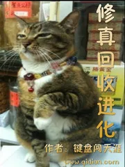 《修真回收进化》小说封面