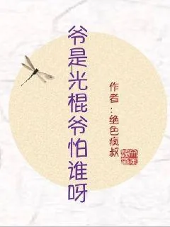 《爷是光棍爷怕谁呀》小说封面