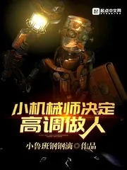 《小机械师决定高调做人》小说封面