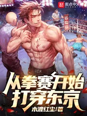 《从拳赛开始打穿东京》小说封面
