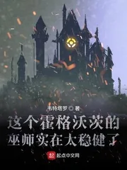 《这个霍格沃茨的巫师实在太稳健了》小说封面