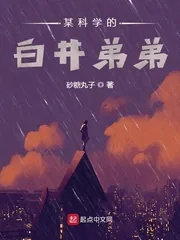 《某科学的白井弟弟》小说封面