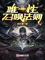 《唯一性召唤法则》小说封面