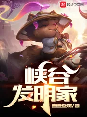 《峡谷发明家》小说封面
